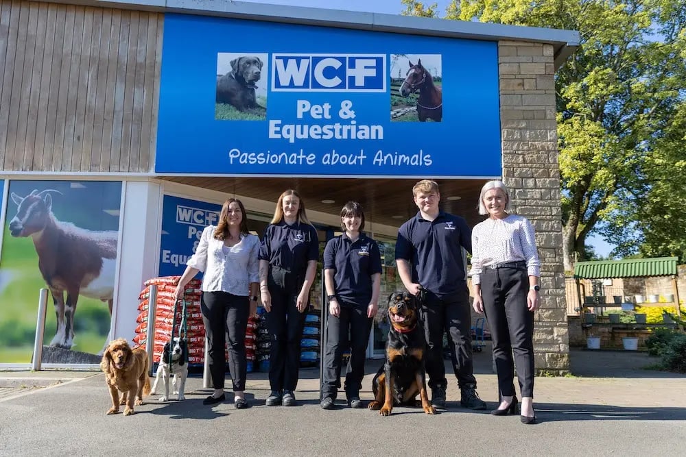 Working at WCF Ltd | Great Place to Work® UK